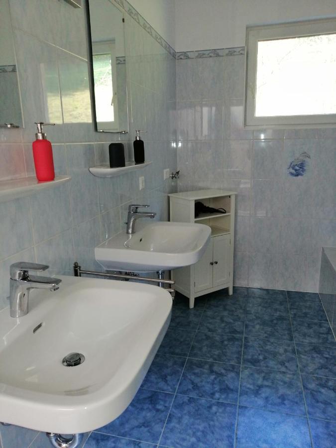 Ferienwohnung Semler بوتشبرغ ام شنيبرغ المظهر الخارجي الصورة